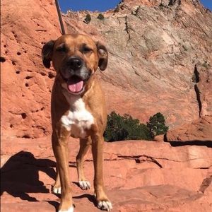 Meet your Posher, Caitlin